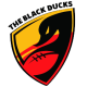 logo_rugby_gemona